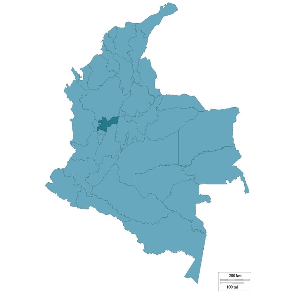 COLOMBIA VIEJO CALDAS SUGARCANE DECAF